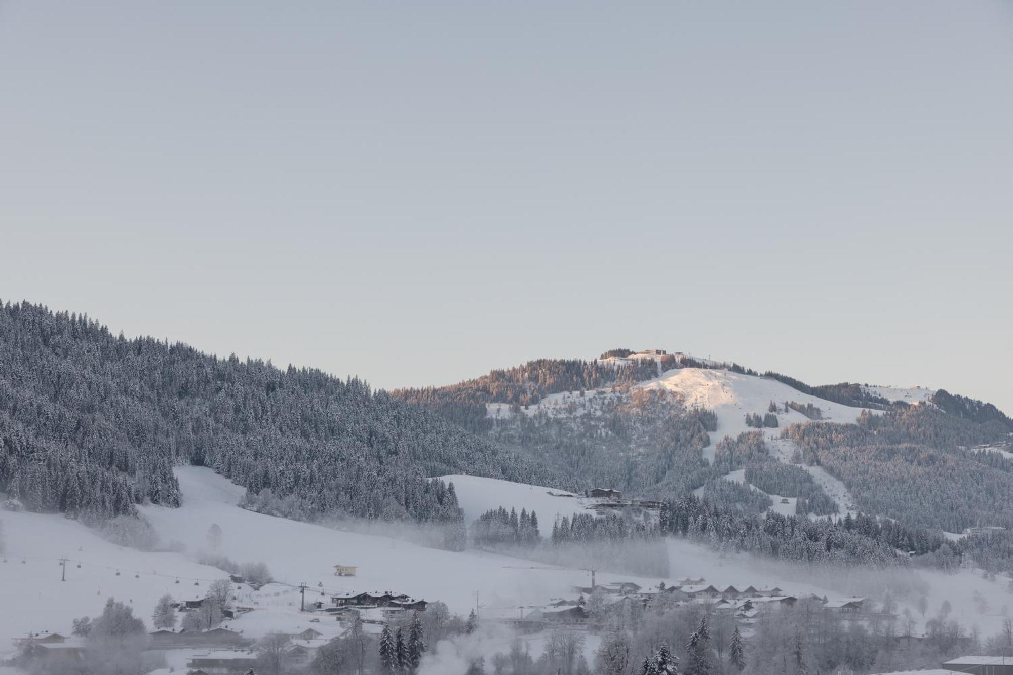 Going Triple A Apartments East Going am Wilden Kaiser Экстерьер фото